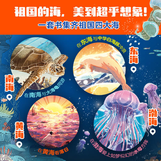 美丽中国海（全4册） 商品图2