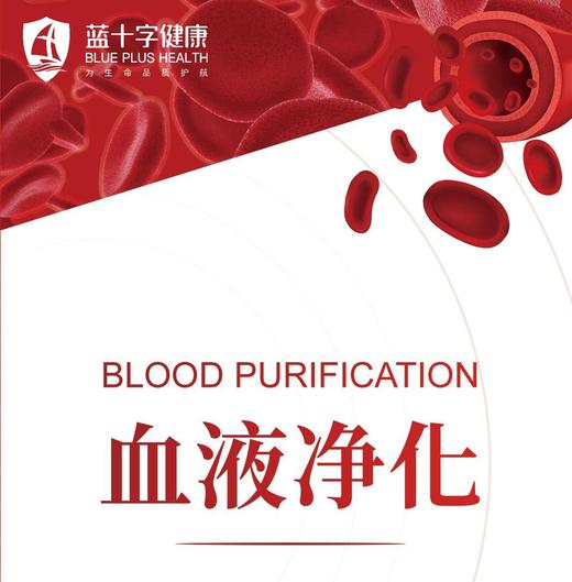 【蓝十字】博鳌医旅-血液净化 商品图0