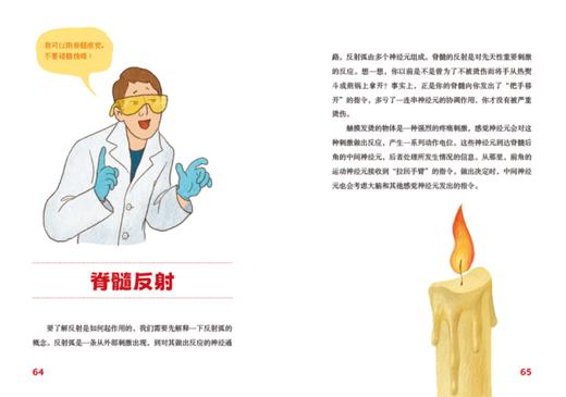 认识我们的身体-神奇的大脑与神经+神奇的人体之旅 商品图4