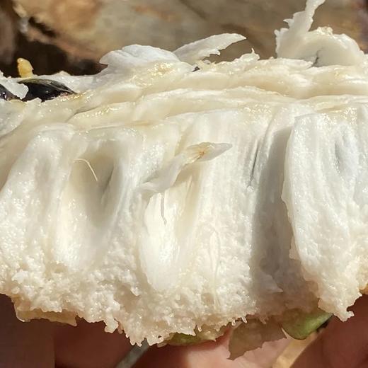 生态释迦果｜元江｜顺丰 商品图2