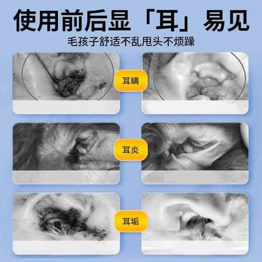 whycat宠物洁耳液狗猫通用 商品图3