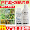 咪鲜胺烯酰吗啉套餐留树保鲜专用晚疫病霜霉病杀菌剂农用农药正品 商品缩略图2