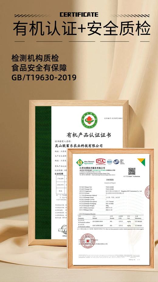 应季有机蔬菜  每周二、五发货，周一、四截单 商品图1