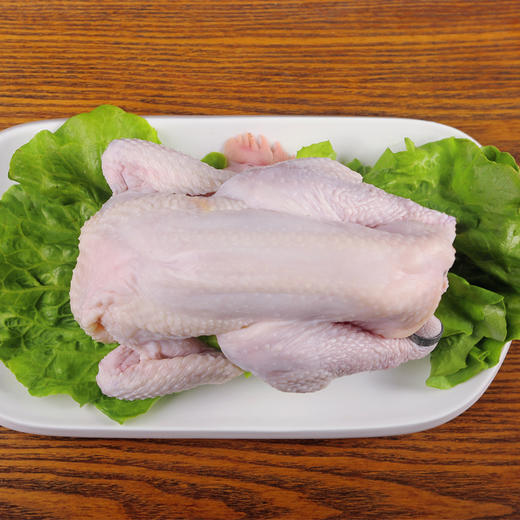 天农原种清远鸡600-800g整鸡 农家散养138天走地鸡土鸡鸡肉 商品图3