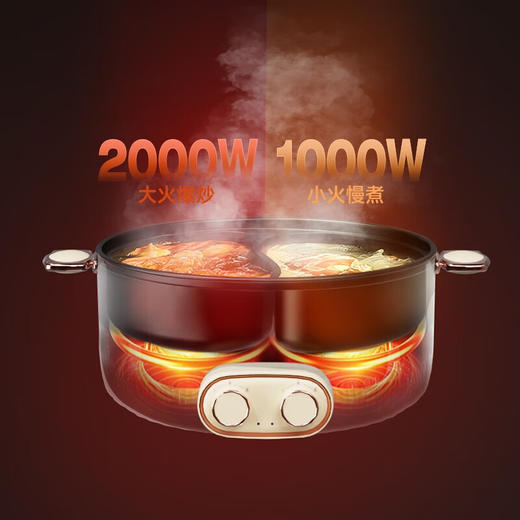 【分仓直发包邮】Letv-液体加热器（鸳鸯电火锅）F736 商品图4