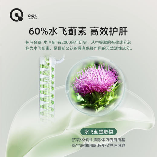 QuraQare奶蓟草护肝胶囊 #绍兴仓 商品图2