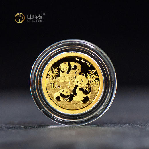 2025年熊猫金币 1克3克8克15克30克金猫 金套猫 商品图3