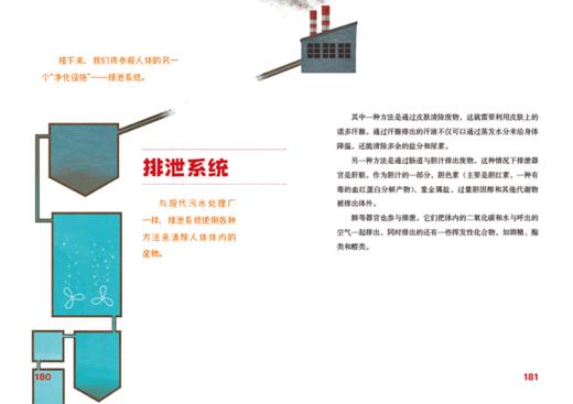 认识我们的身体-神奇的大脑与神经+神奇的人体之旅 商品图12
