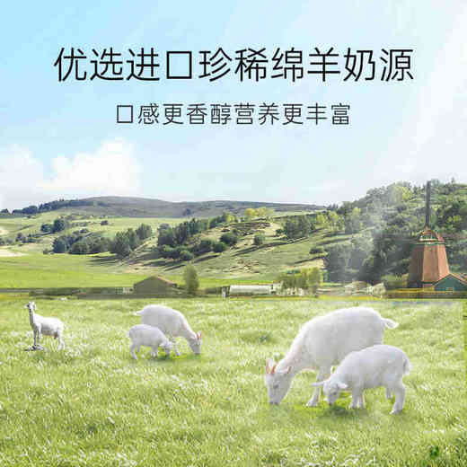 臻牧冻0女士绵羊奶粉360g×1罐 商品图4