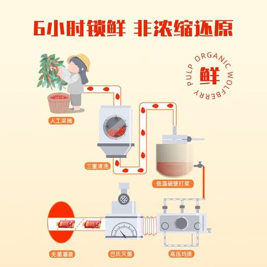 呀啦嗦有机枸杞原浆汁纯枸杞子液 枸杞原液 构纪饮有机认证枸杞饮30ML*10袋/盒 商品图6