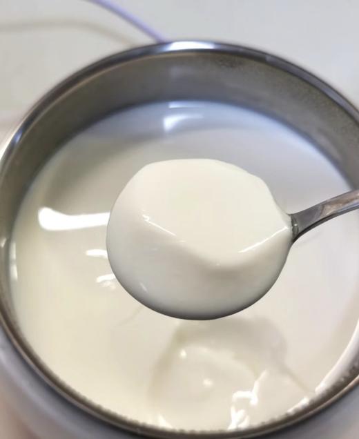 【秒杀】内蒙古手工奶皮子酸奶500g*2瓶（原味） 商品图2