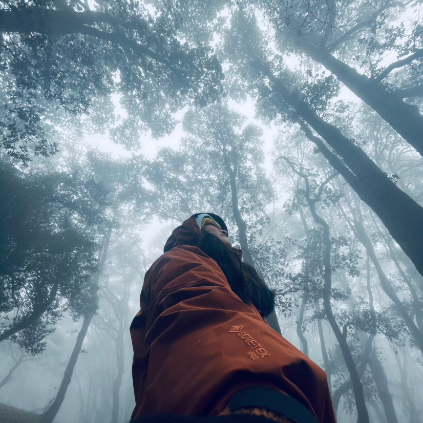 成人徒步 | 12.28周日寻甸密枝林，走入昆明的魔幻迷雾森林！