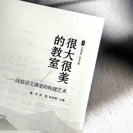 很大很美的教室 诗意语文课堂的构建艺术 大夏书系 董一菲 胡艳 孙奇峰 语文之道 教师成长 商品图5