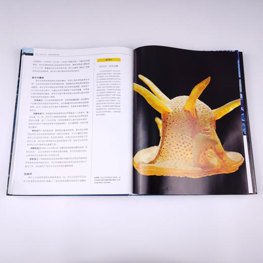 《海洋全书：国家地理新探索》 商品图3