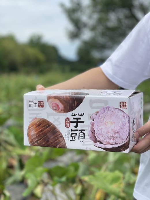 【分仓直发包邮】荔浦芋头5斤（3-4个装） 商品图1