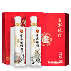 五粮液贵宾臻耀文创纪念酒礼盒（2瓶）