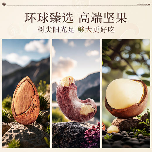 臻味环球优品礼盒1.8kg休闲食品夏威夷果腰果巴旦木坚果果干混合 商品图5