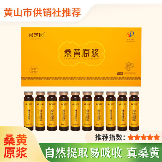 【桑芝园】桑黄原浆口服液 养生正品桑黄饮液营养液正品 商品图0