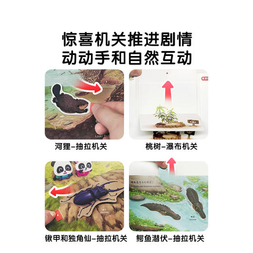 【点读版】神奇的自然世界/4册 商品图4