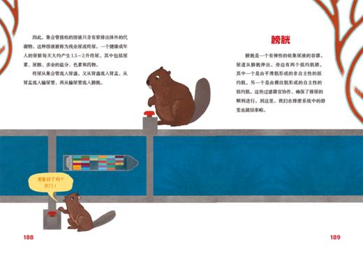 认识我们的身体-神奇的大脑与神经+神奇的人体之旅 商品图13