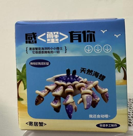 腾悦软陶艺术馆 （寄居蟹盲盒） 商品图1