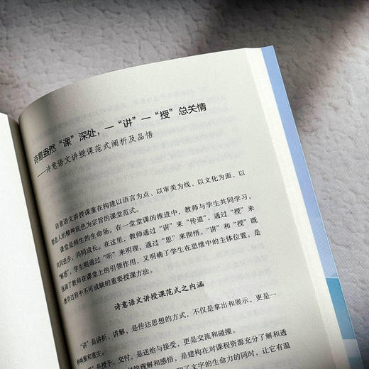 很大很美的教室 诗意语文课堂的构建艺术 大夏书系 董一菲 胡艳 孙奇峰 语文之道 教师成长 商品图12