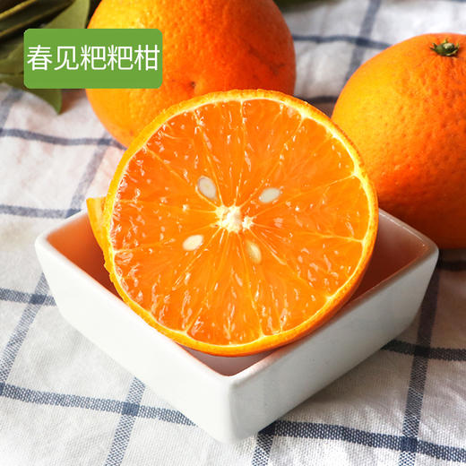 【分仓直发包邮】四川粑粑柑5斤大果 商品图1