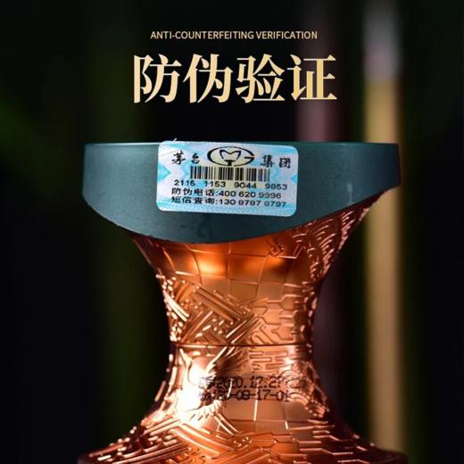 贵州茅台集团茅源酒 53度纯粮型酱香型白酒 整箱500ml*6瓶包邮 商品图5