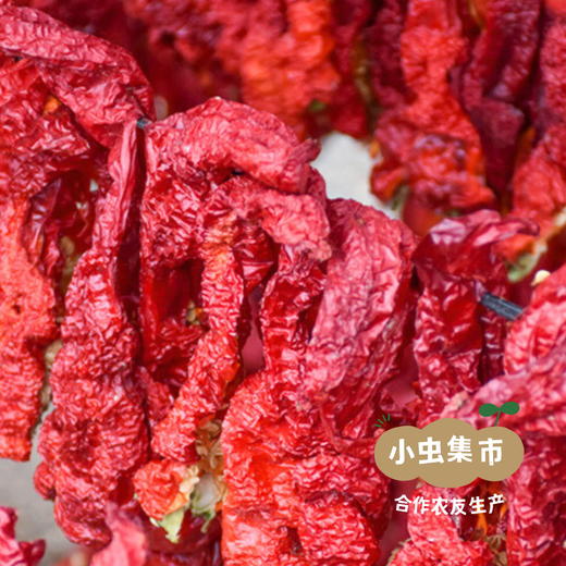 新疆有机辣皮子 2袋 | 合作农友生产，产自新疆，生产者：王忠军 *【公平贸易农人定价】 商品图11