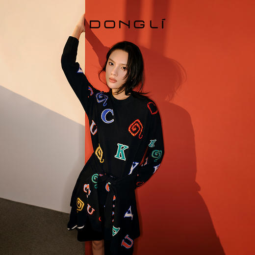 东黎 • 山羊绒女士秋冬字母提花套衫 5017 商品图0