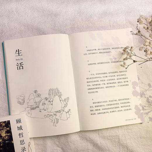 顾城哲思录（纪念版）：一个人应该活得是自己并且干净。一本洞察世事、洞察自我的答案之书 商品图4