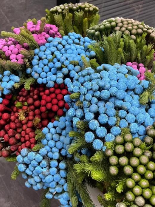 南非进口珊瑚果鲜花花1扎 商品图9