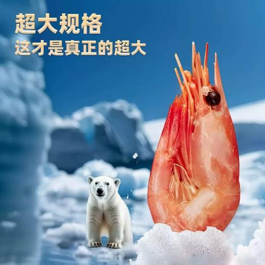 国王北极甜虾-头籽原箱北极虾1.5KG规格50-70【SP】 商品图1