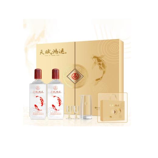 五粮液天赋鸿运礼盒套装（2瓶） 商品图0
