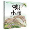 家门外的自然课系列——噢！水稻 商品缩略图0