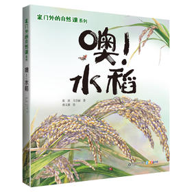 家门外的自然课系列——噢！水稻
