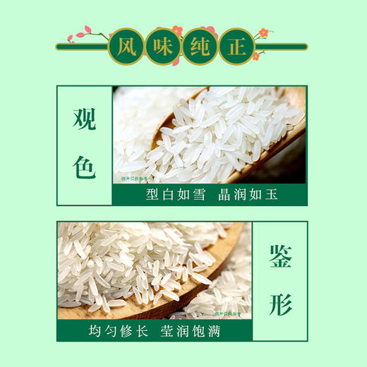金龙鱼臻选丝苗米5kg 商品图3