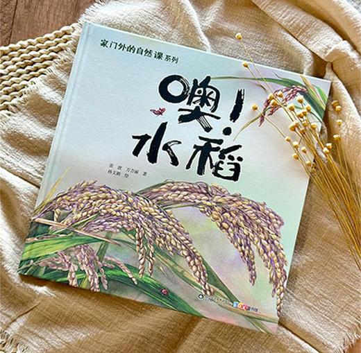 家门外的自然课系列——噢！水稻 商品图1