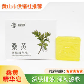 【桑芝园】桑黄润肤精华皂 手工皂 男女洗澡沐浴皂 洗手香皂