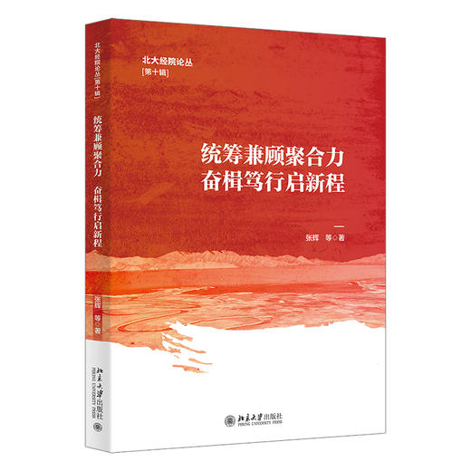 统筹兼顾聚合力，奋楫笃行启新程 张辉 等 著 北京大学出版社 北大经院论丛 商品图0