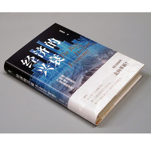 大学问 经济的兴衰:基于地缘经济、城市增长、产业转型的研究 郑荣华/著 商品图2