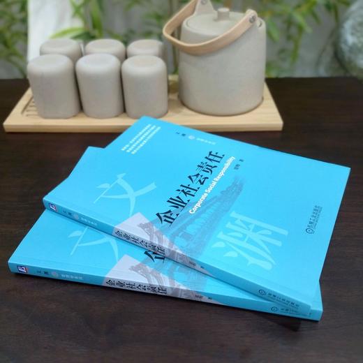 官网 企业社会责任 贾明 教材 9787111721314 机械工业出版社 商品图4