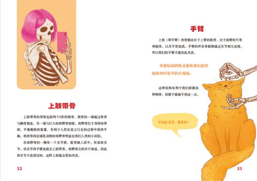 认识我们的身体-神奇的大脑与神经+神奇的人体之旅 商品图11