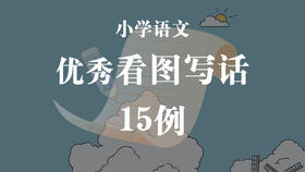 小学优秀看图写话15例