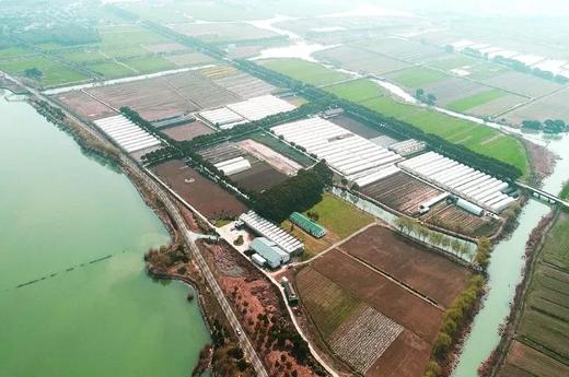 应季有机蔬菜  每周二、五发货，周一、四截单 商品图2