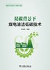 双碳背景下  煤电清洁低碳技术 商品缩略图1