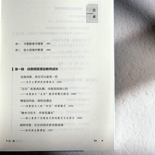 很大很美的教室 诗意语文课堂的构建艺术 大夏书系 董一菲 胡艳 孙奇峰 语文之道 教师成长 商品图6