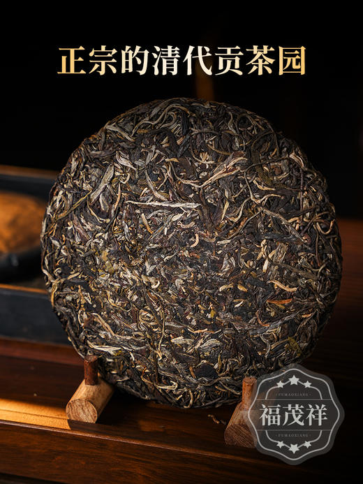 【大黑山】竖起来的龙尾 易武仅此曼松的存在 2024年春茶云南易武倚邦普洱茶生茶叶古树纯料茶饼357g 商品图2