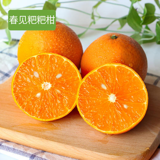 【分仓直发包邮】四川粑粑柑5斤大果 商品图0