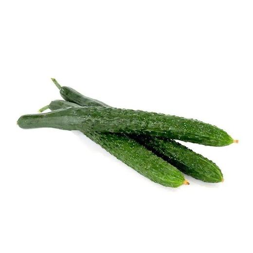 青黄瓜（精包）(500±50g) 商品图0